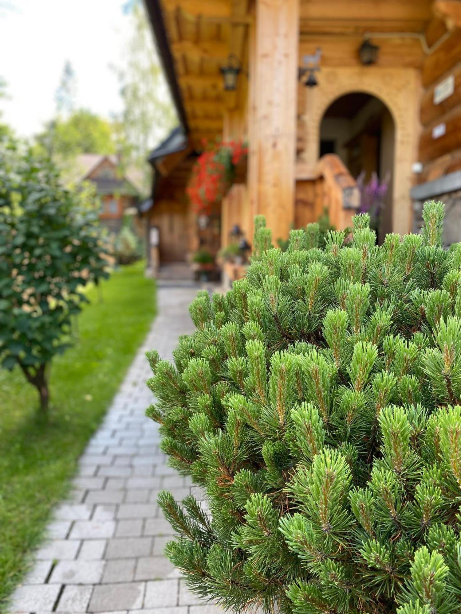 Apartamenty U Giewonta Zakopane Esterno foto